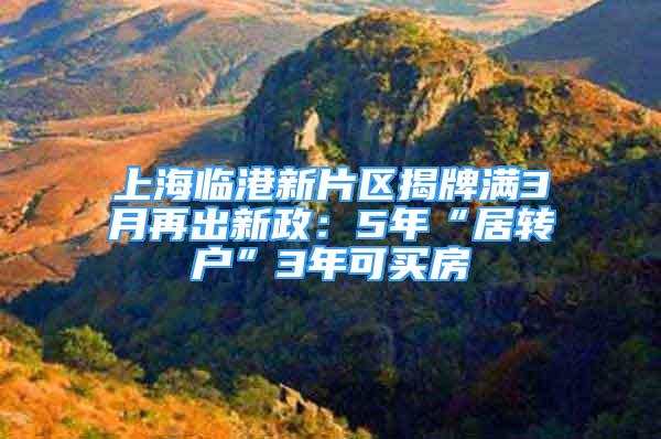 上海臨港新片區(qū)揭牌滿3月再出新政：5年“居轉戶”3年可買房