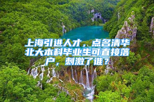 上海引進(jìn)人才，點名清華北大本科畢業(yè)生可直接落戶，刺激了誰？