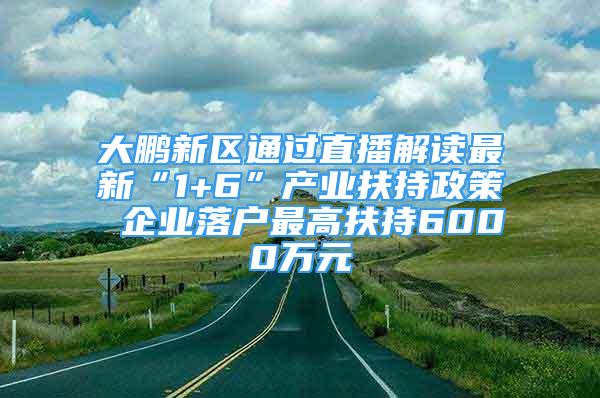 大鵬新區(qū)通過(guò)直播解讀最新“1+6”產(chǎn)業(yè)扶持政策 企業(yè)落戶最高扶持6000萬(wàn)元