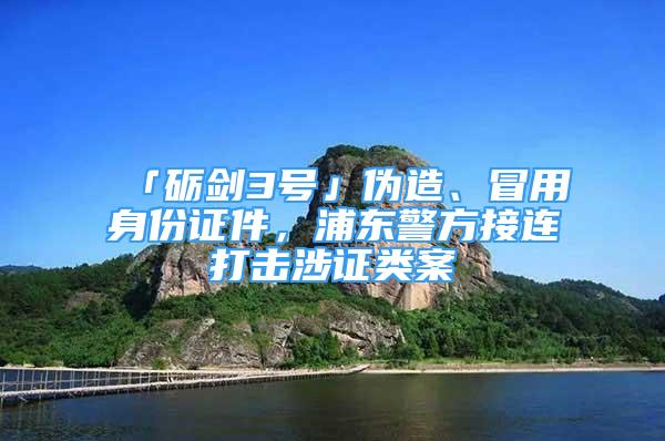 「礪劍3號(hào)」偽造、冒用身份證件，浦東警方接連打擊涉證類案