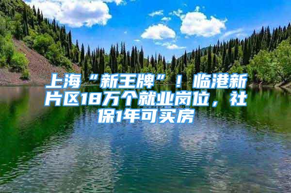 上?！靶峦跖啤?！臨港新片區(qū)18萬個就業(yè)崗位，社保1年可買房