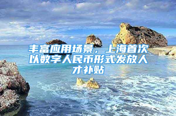 豐富應用場景，上海首次以數字人民幣形式發(fā)放人才補貼