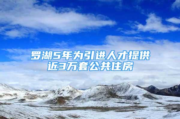 羅湖5年為引進(jìn)人才提供近3萬套公共住房