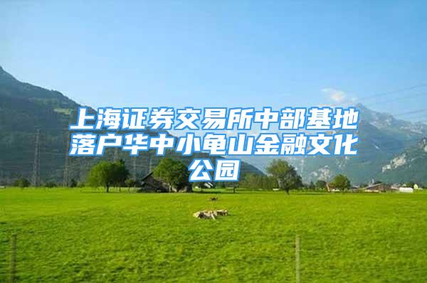 上海證券交易所中部基地落戶華中小龜山金融文化公園