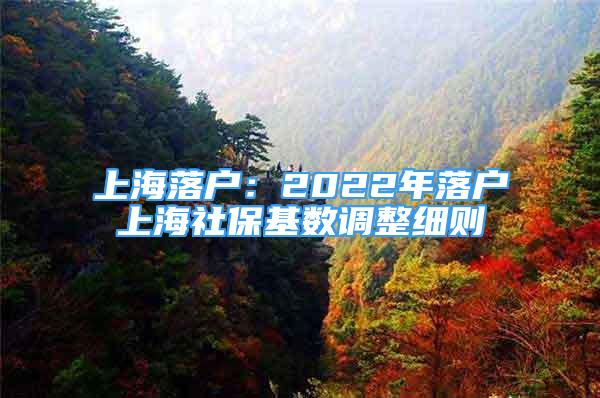 上海落戶(hù)：2022年落戶(hù)上海社?；鶖?shù)調(diào)整細(xì)則