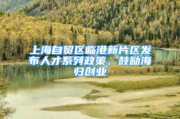 上海自貿(mào)區(qū)臨港新片區(qū)發(fā)布人才系列政策，鼓勵(lì)海歸創(chuàng)業(yè)