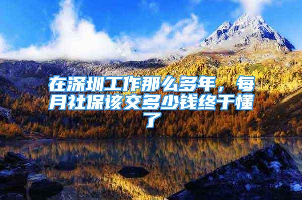 在深圳工作那么多年，每月社保該交多少錢終于懂了