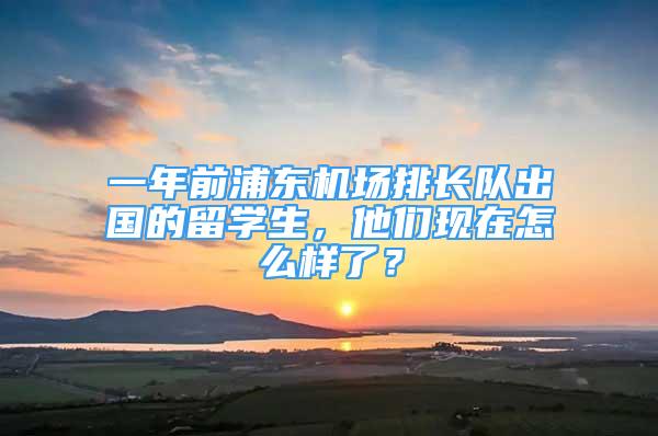 一年前浦東機場排長隊出國的留學生，他們現在怎么樣了？