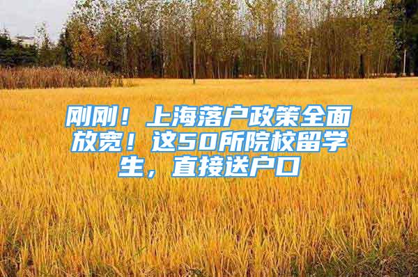 剛剛！上海落戶政策全面放寬！這50所院校留學生，直接送戶口