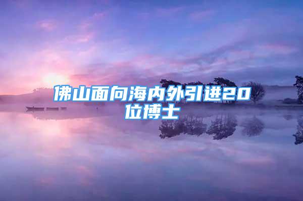 佛山面向海內(nèi)外引進20位博士