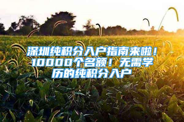 深圳純積分入戶指南來啦！10000個名額！無需學(xué)歷的純積分入戶