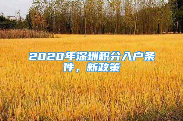 2020年深圳積分入戶(hù)條件，新政策