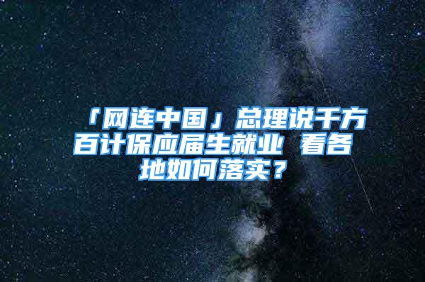 「網(wǎng)連中國」總理說千方百計保應(yīng)屆生就業(yè) 看各地如何落實？