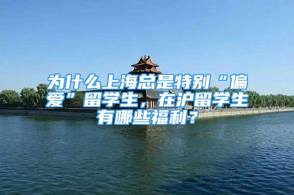 為什么上?？偸翘貏e“偏愛”留學生，在滬留學生有哪些福利？