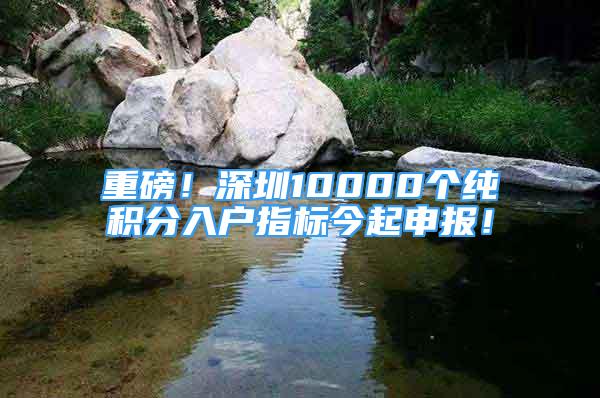 重磅！深圳10000個(gè)純積分入戶(hù)指標(biāo)今起申報(bào)！