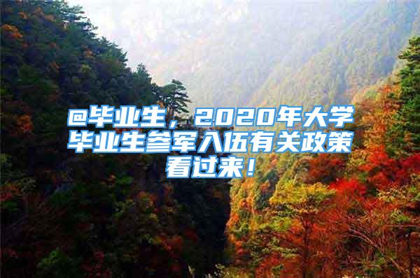 @畢業(yè)生，2020年大學畢業(yè)生參軍入伍有關政策看過來！