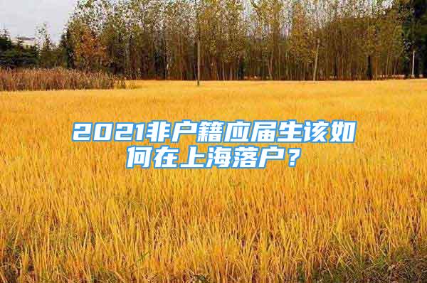 2021非戶籍應屆生該如何在上海落戶？