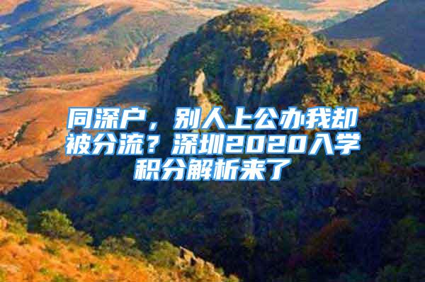 同深戶，別人上公辦我卻被分流？深圳2020入學(xué)積分解析來了