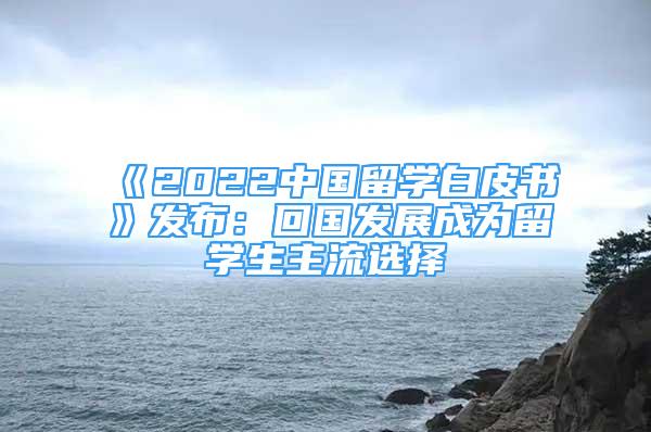 《2022中國留學(xué)白皮書》發(fā)布：回國發(fā)展成為留學(xué)生主流選擇