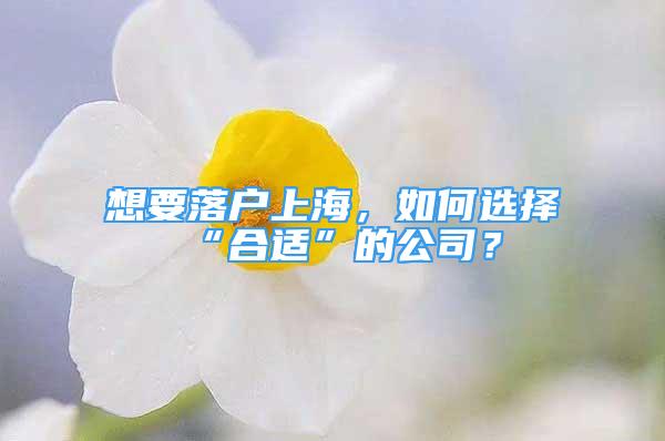 想要落戶上海，如何選擇“合適”的公司？