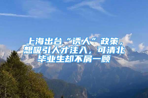 上海出臺(tái)“誘人”政策，想吸引人才注入，可清北畢業(yè)生卻不屑一顧