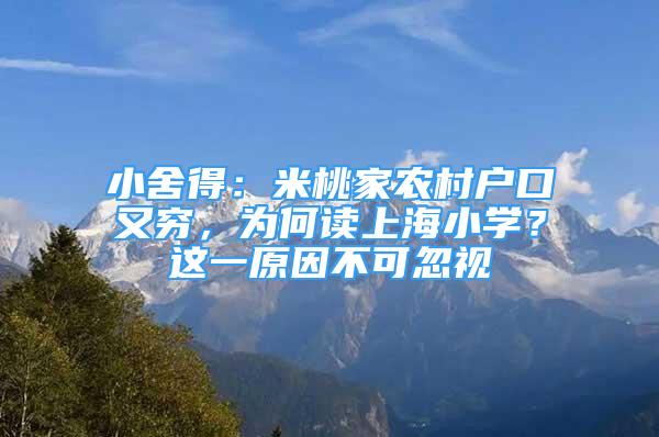 小舍得：米桃家農(nóng)村戶口又窮，為何讀上海小學(xué)？這一原因不可忽視