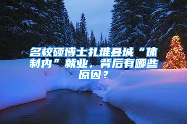 名校碩博士扎堆縣城“體制內(nèi)”就業(yè)，背后有哪些原因？