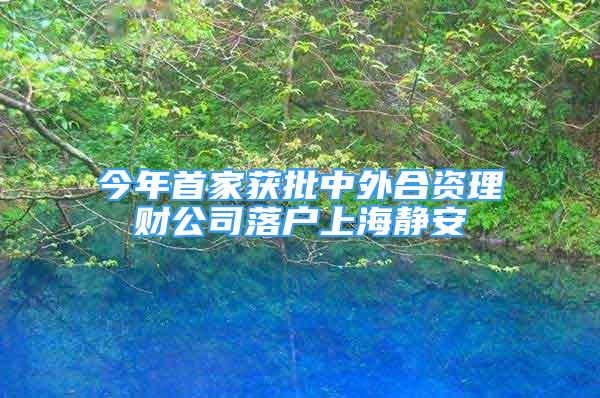 今年首家獲批中外合資理財公司落戶上海靜安