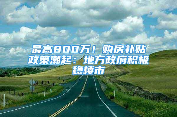 最高800萬！購房補貼政策潮起：地方政府積極穩(wěn)樓市