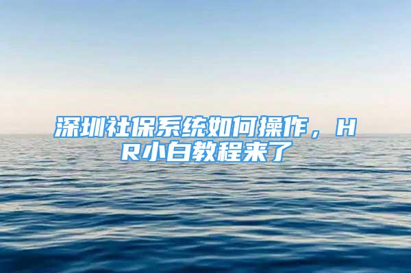 深圳社保系統(tǒng)如何操作，HR小白教程來(lái)了