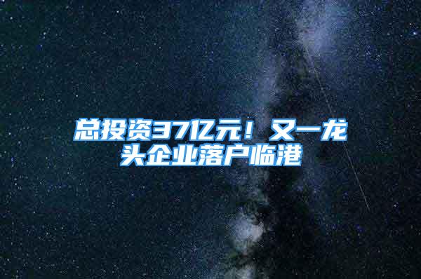 總投資37億元！又一龍頭企業(yè)落戶臨港