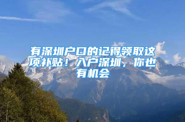 有深圳戶口的記得領(lǐng)取這項補貼！入戶深圳，你也有機會