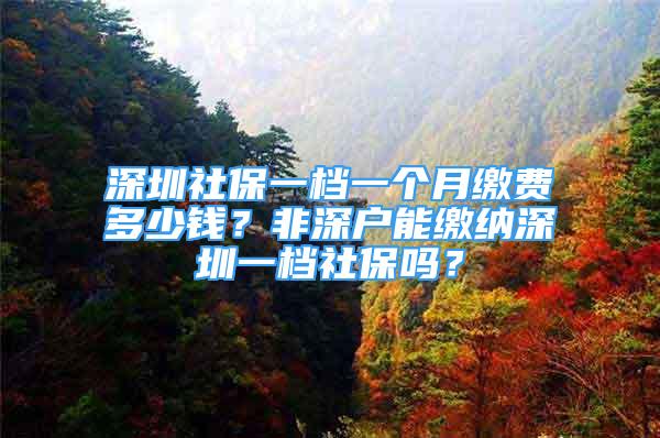 深圳社保一檔一個(gè)月繳費(fèi)多少錢？非深戶能繳納深圳一檔社保嗎？