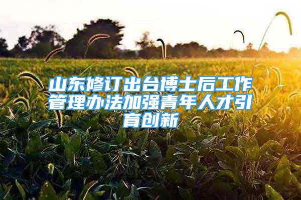 山東修訂出臺博士后工作管理辦法加強青年人才引育創(chuàng)新