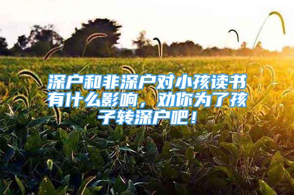 深戶和非深戶對小孩讀書有什么影響，勸你為了孩子轉(zhuǎn)深戶吧！