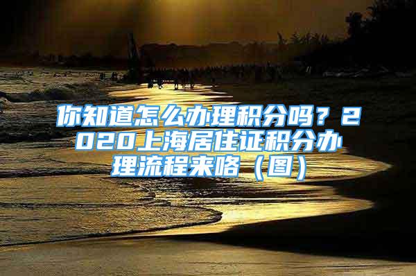 你知道怎么辦理積分嗎？2020上海居住證積分辦理流程來咯（圖）