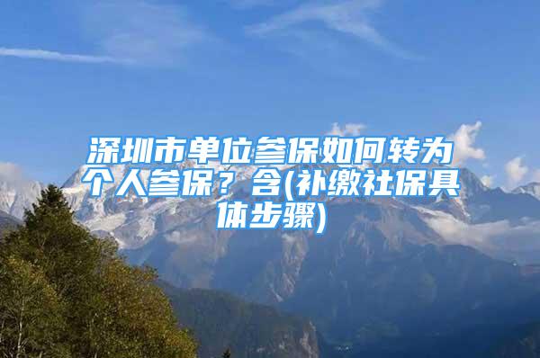 深圳市單位參保如何轉為個人參保？含(補繳社保具體步驟)