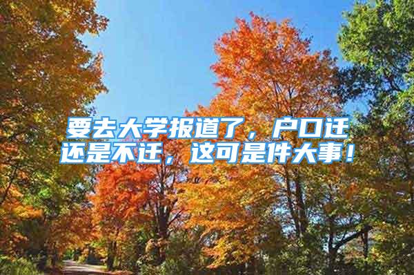 要去大學報道了，戶口遷還是不遷，這可是件大事！