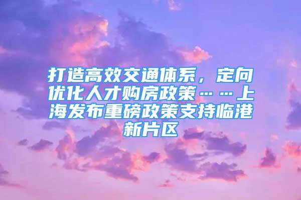 打造高效交通體系，定向優(yōu)化人才購房政策……上海發(fā)布重磅政策支持臨港新片區(qū)