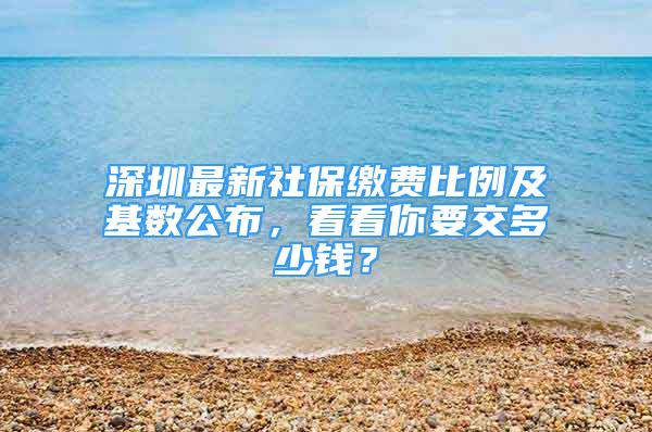 深圳最新社保繳費比例及基數(shù)公布，看看你要交多少錢？