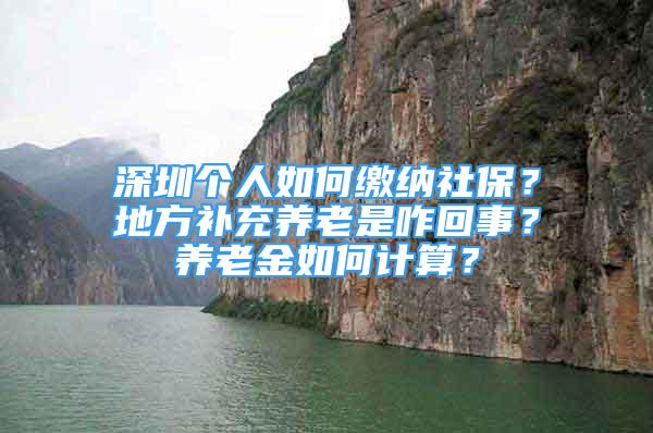 深圳個人如何繳納社保？地方補充養(yǎng)老是咋回事？養(yǎng)老金如何計算？