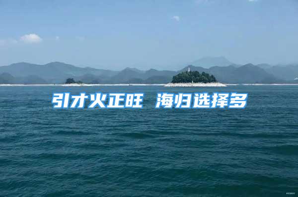 引才火正旺 海歸選擇多