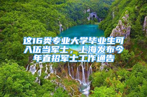 這16類專業(yè)大學(xué)畢業(yè)生可入伍當軍士，上海發(fā)布今年直招軍士工作通告