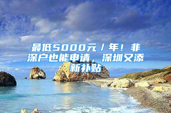 最低5000元／年！非深戶也能申請，深圳又添新補貼