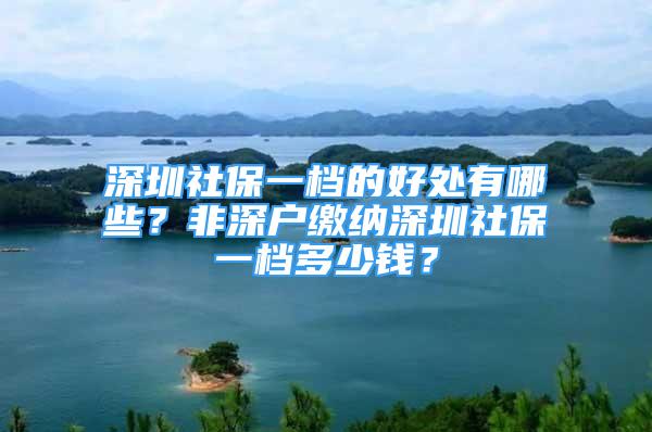 深圳社保一檔的好處有哪些？非深戶繳納深圳社保一檔多少錢？