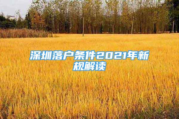 深圳落戶條件2021年新規(guī)解讀