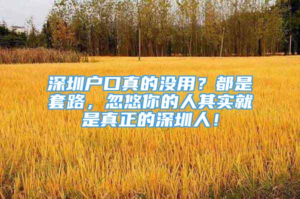 深圳戶口真的沒用？都是套路，忽悠你的人其實(shí)就是真正的深圳人！