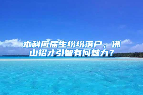 本科應(yīng)屆生紛紛落戶，佛山招才引智有何魅力？