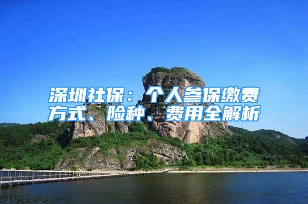 深圳社保：個(gè)人參保繳費(fèi)方式、險(xiǎn)種、費(fèi)用全解析