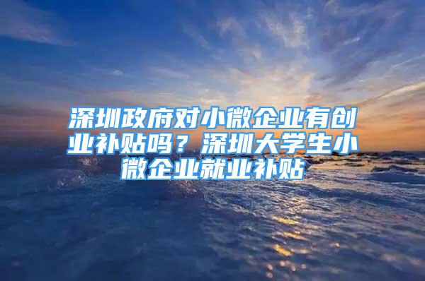 深圳政府對小微企業(yè)有創(chuàng)業(yè)補貼嗎？深圳大學(xué)生小微企業(yè)就業(yè)補貼